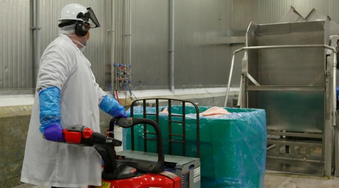 Man operating lift at Maple Leaf Foods Plant