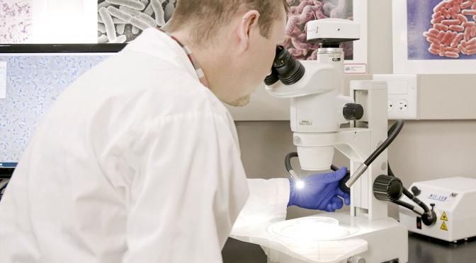 Employee in Lab looking through microscope.