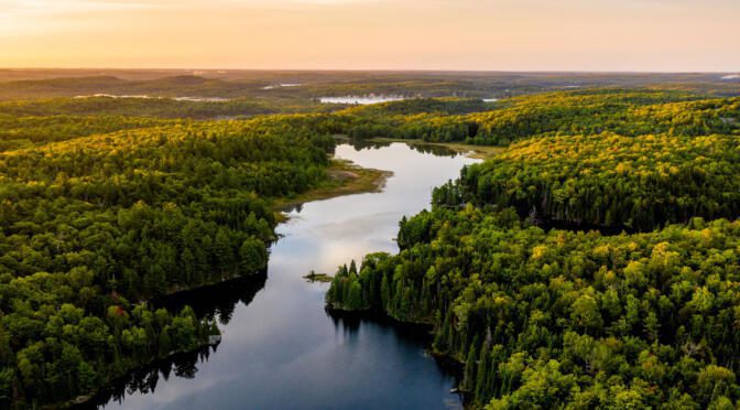 Arial view of a river running through a forest in Canada.