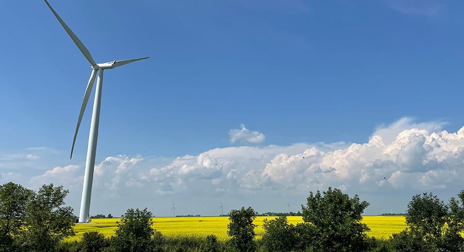 ciel bleu et terre verte avec un moulin à vent