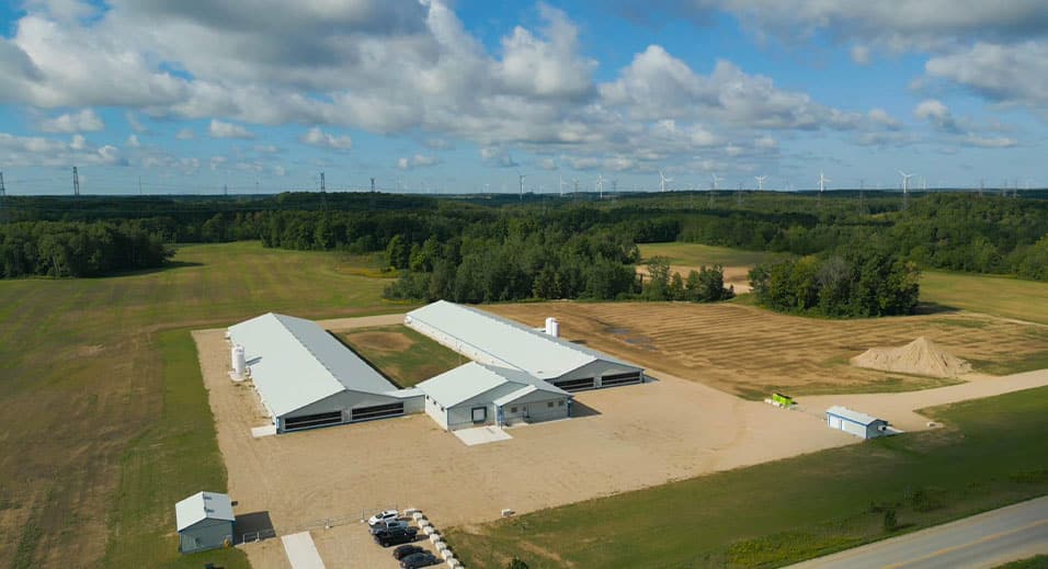 Grange des Aliments Maple Leaf