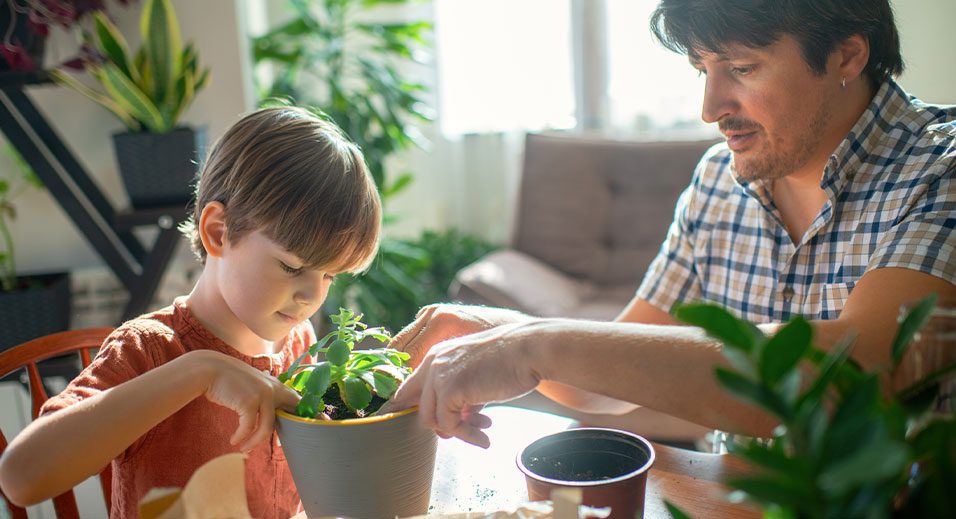 petit garçon et père empotant une plante à la maison