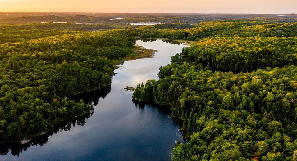 prairies touffues traversées par une rivière