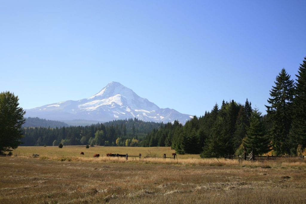 Mountain