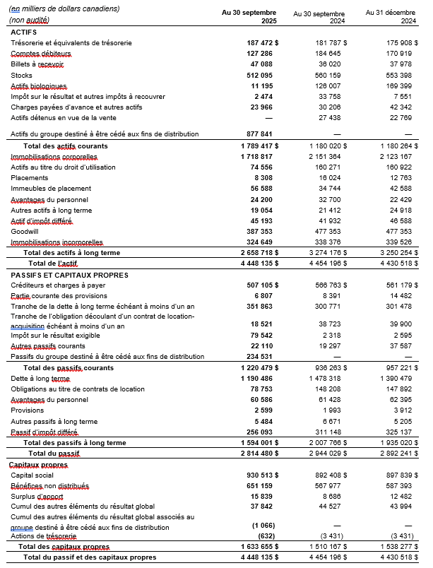 Bilans intermédiaires consolidés