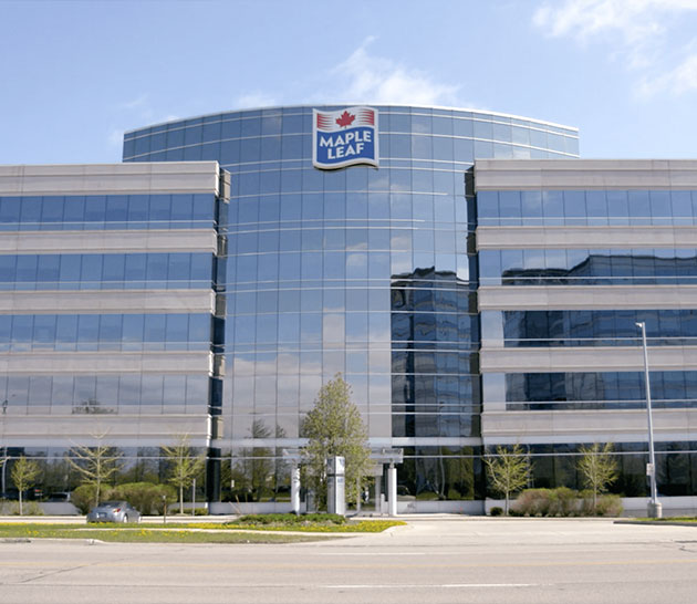 MLF-HeadOffice-2