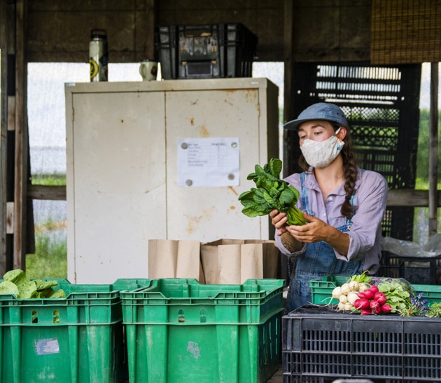 Maple Leaf Centre for Food Security