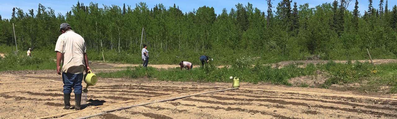 Employees working in a field with trees in the background.