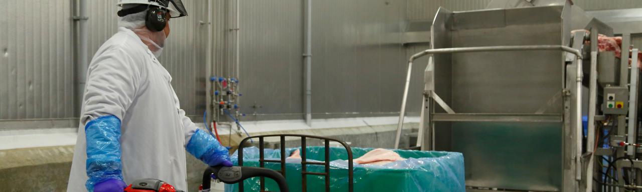 Man operating lift at Maple Leaf Foods Plant