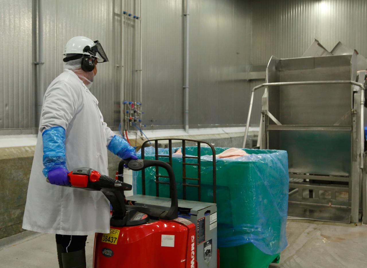Maple Leaf Foods facility.