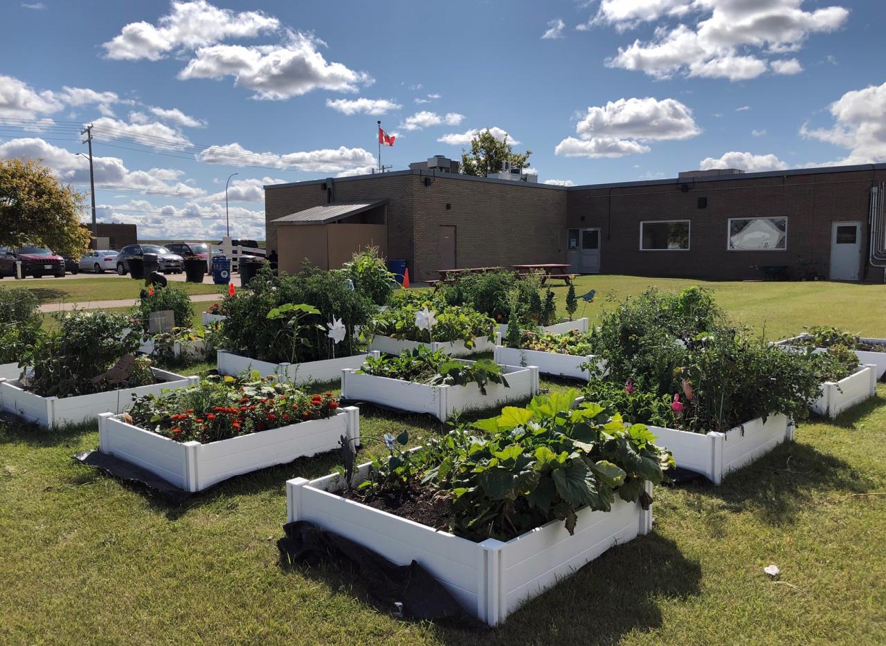 Maple-Leaf-Foods-Lagimodiere-Community-Garden-Plots