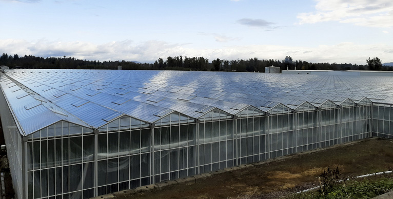Merom Farms Biomass to Energy project