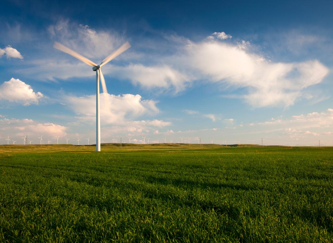 Renewable energy wind farm