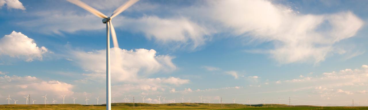 Renewable energy wind farm