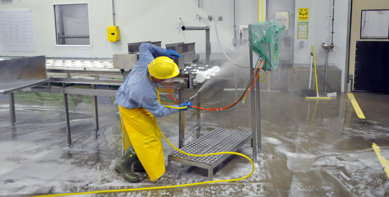 Washing manufacturing line at a Maple Leaf Foods plant.