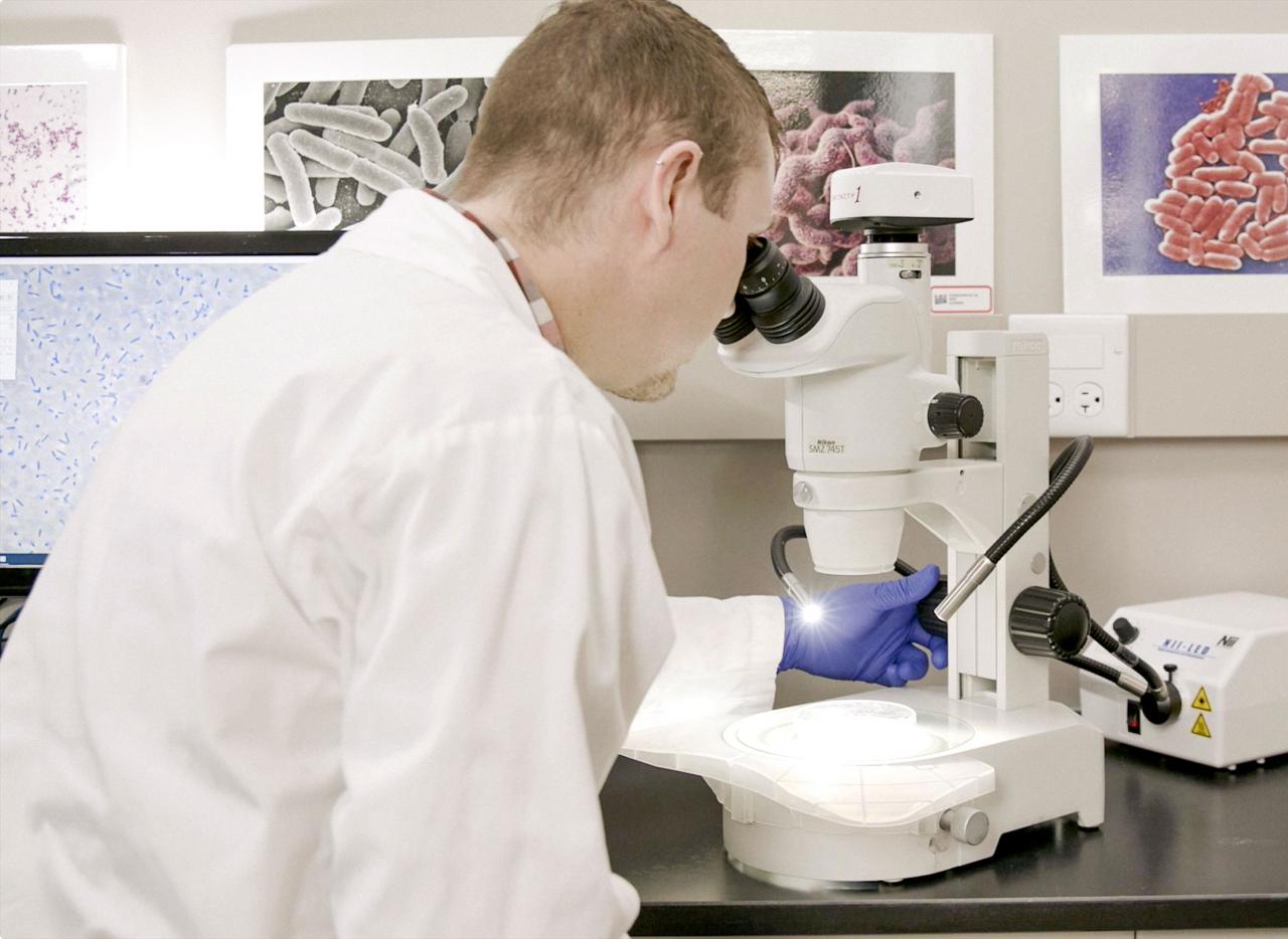 Employé se servant d'un microscope dans un laboratoire.