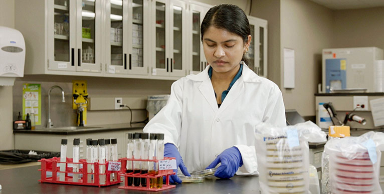 Maple Leaf Foods Laboratory Image