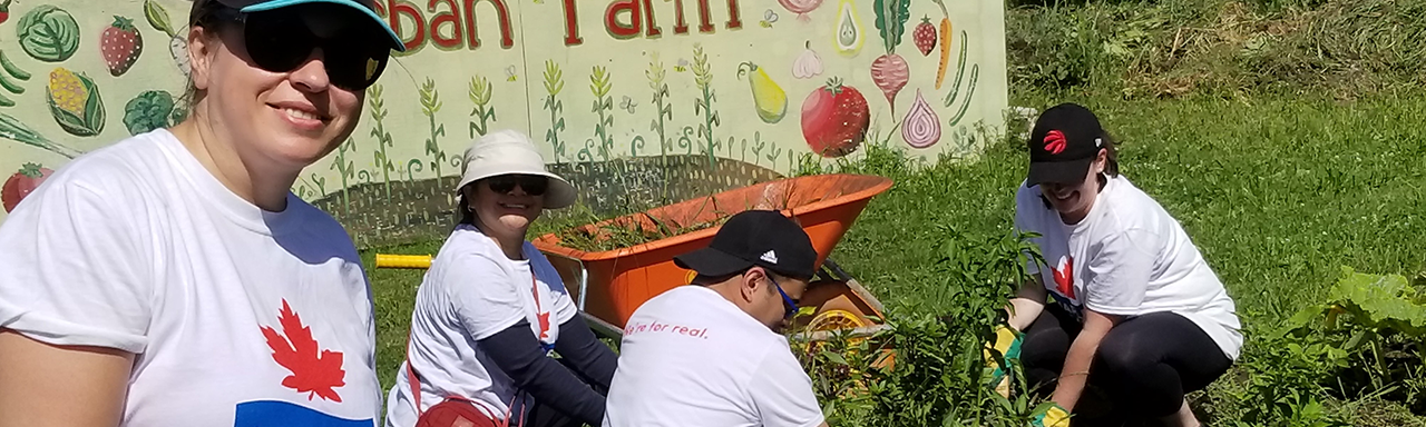 Employee volunteers at McQuesten Urban Farm.