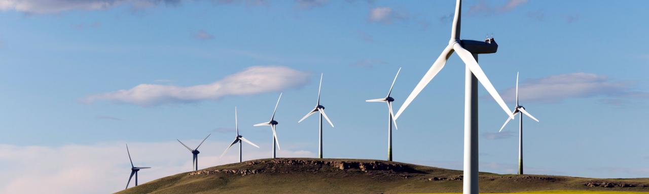 MLF Windfarm Banner
