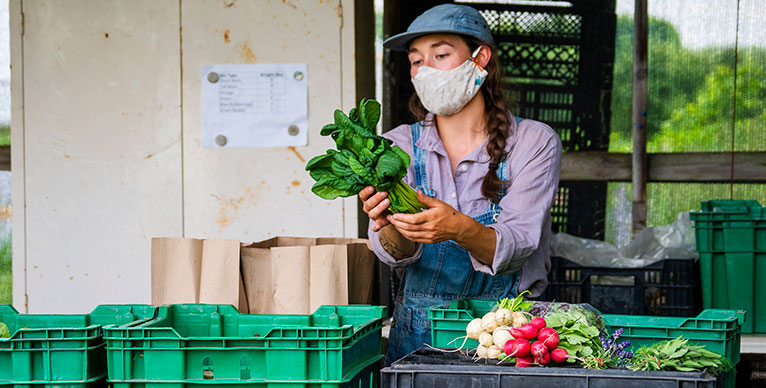  Personne travaillant au marché fermier