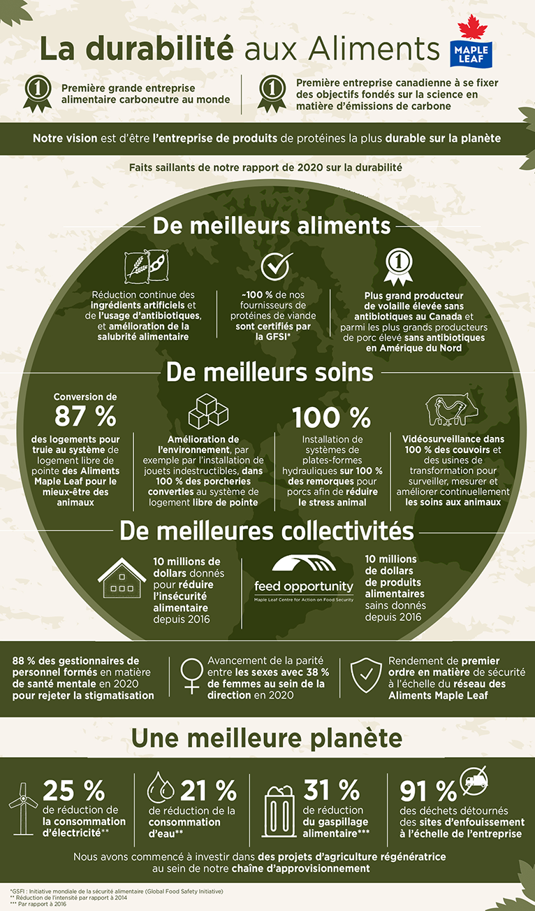 Infographie de la durabilité 2020