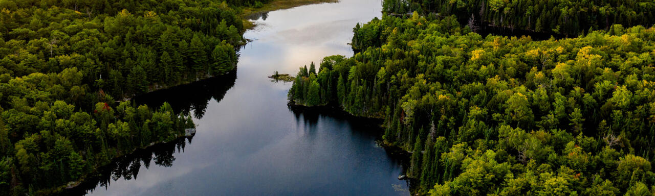 River and forest landscape in Canada.
