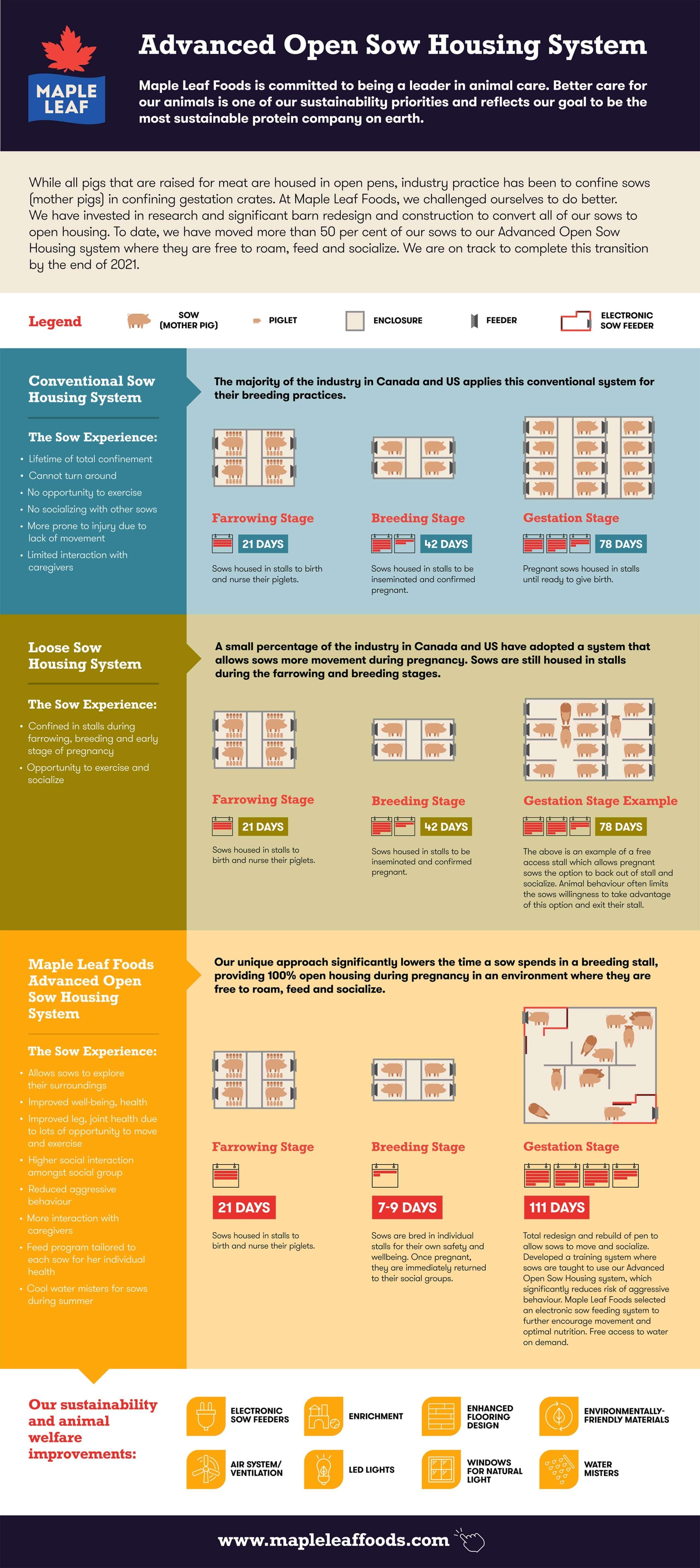 advanced open sow housing system infographic