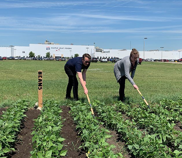 Brandon facility's community garden