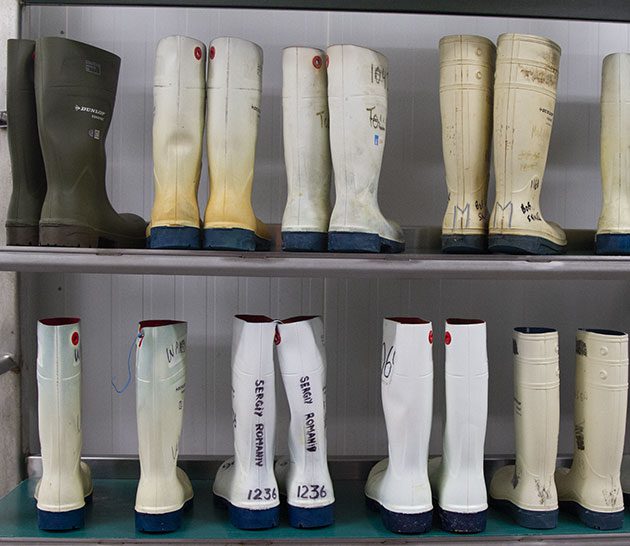 Rubber boots at the Saskatoon plant