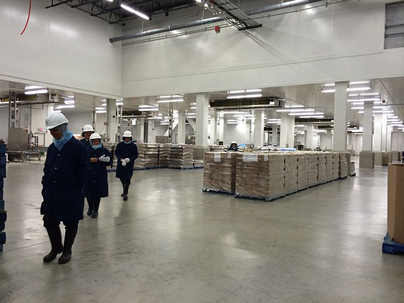 Maple Leaf plant workers on the floor