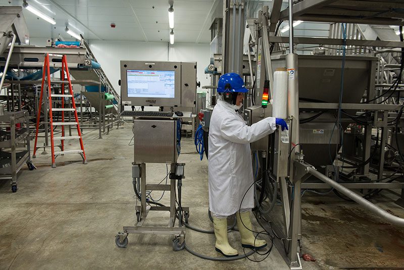 Maple Leaf employee working machinery