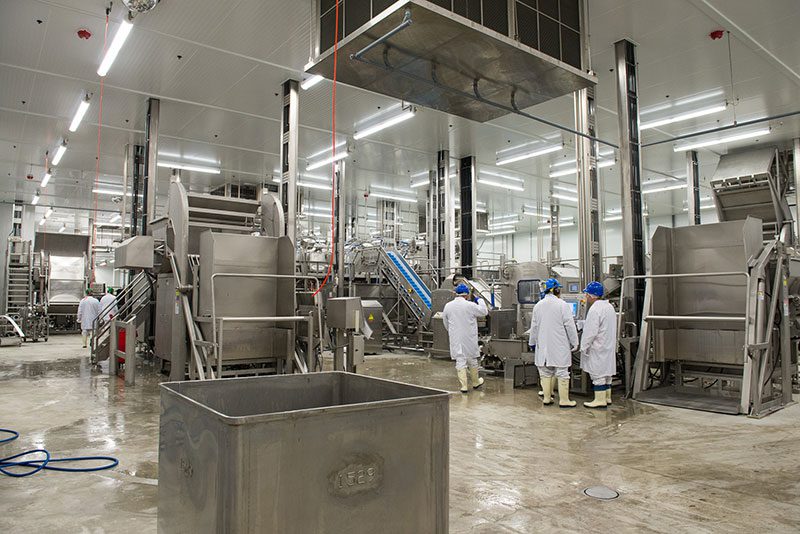 Maple Leaf employees at the Heritage plant