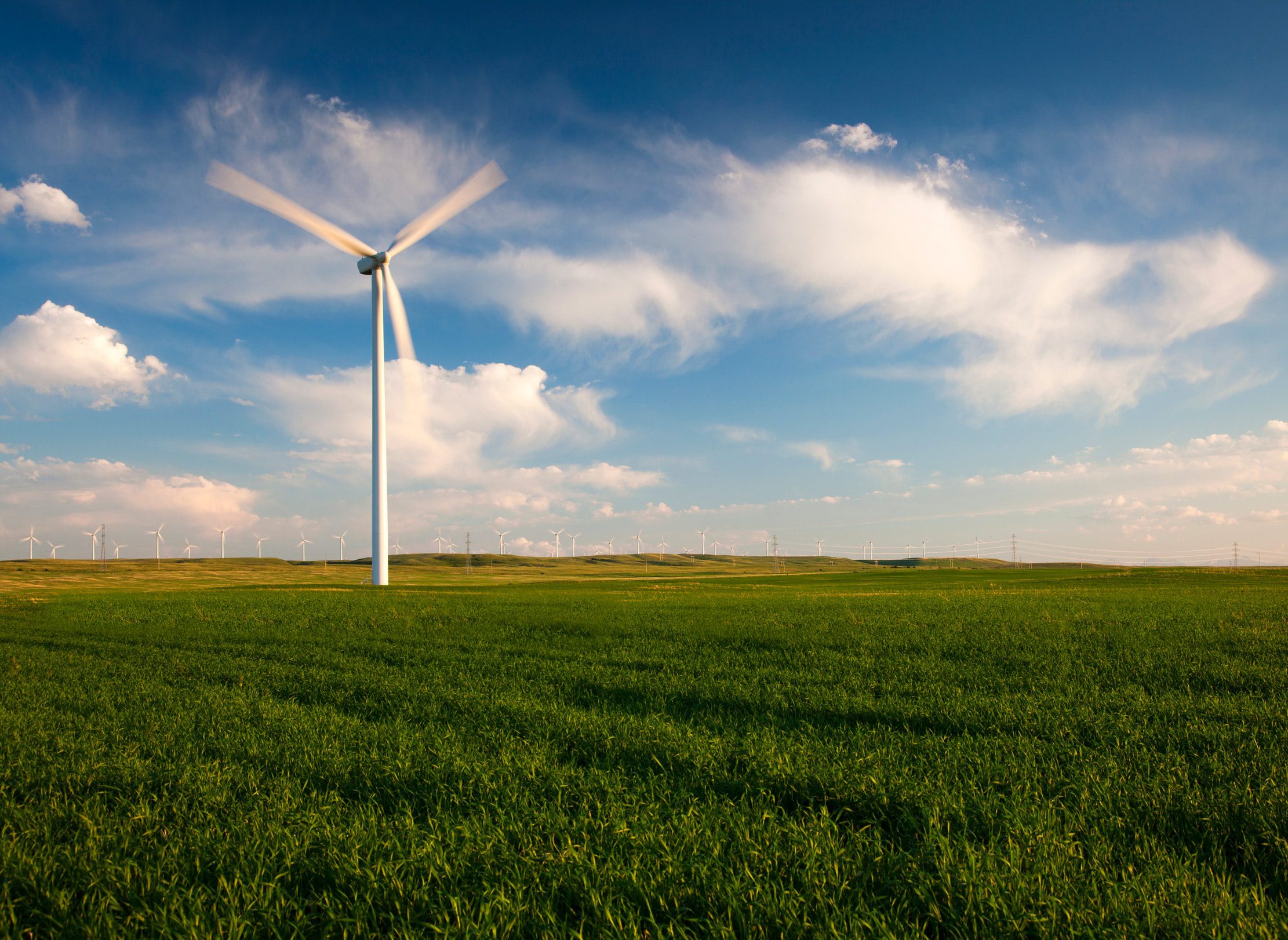 Wind turbines in a distant field