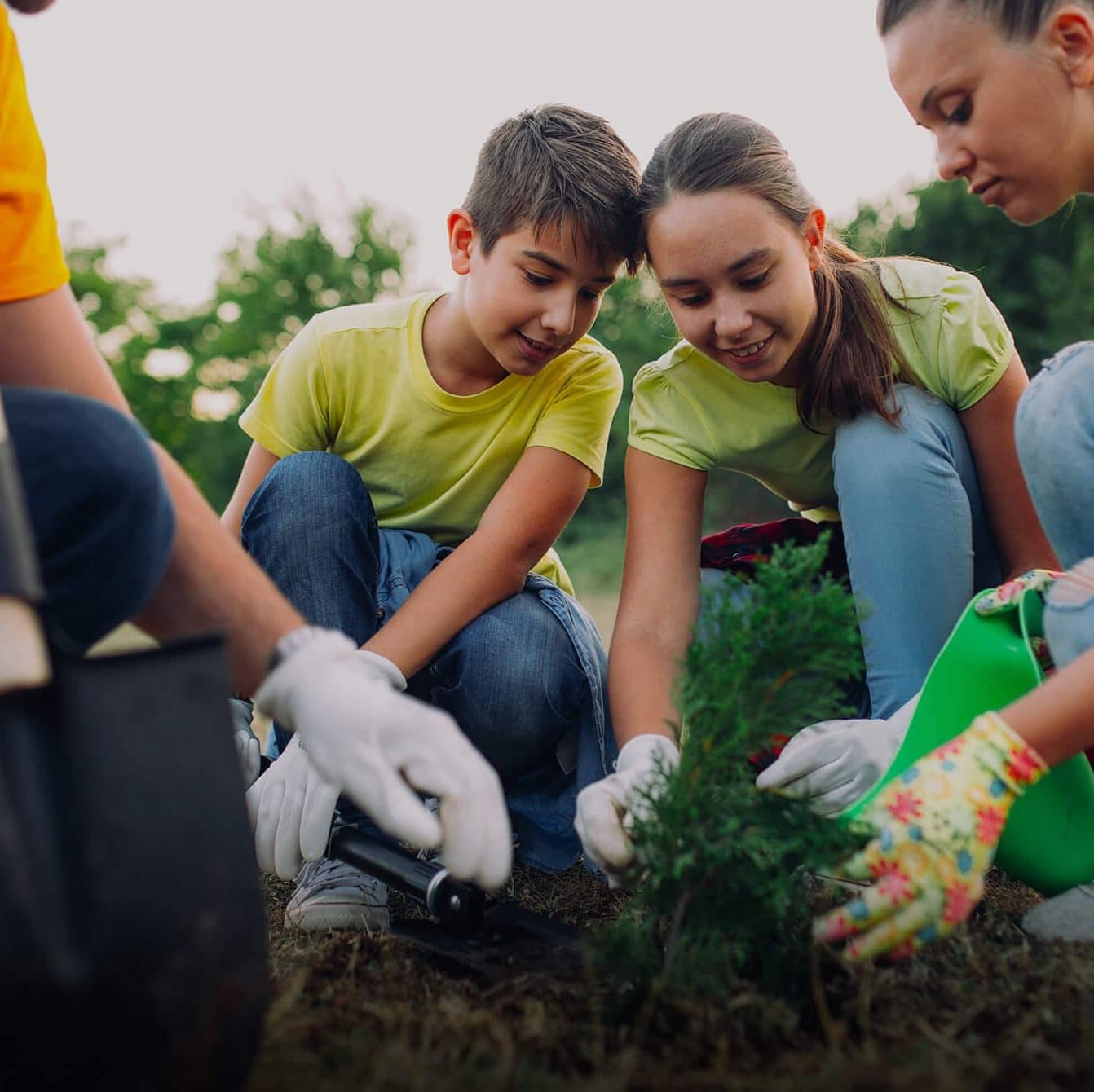 People planting trees