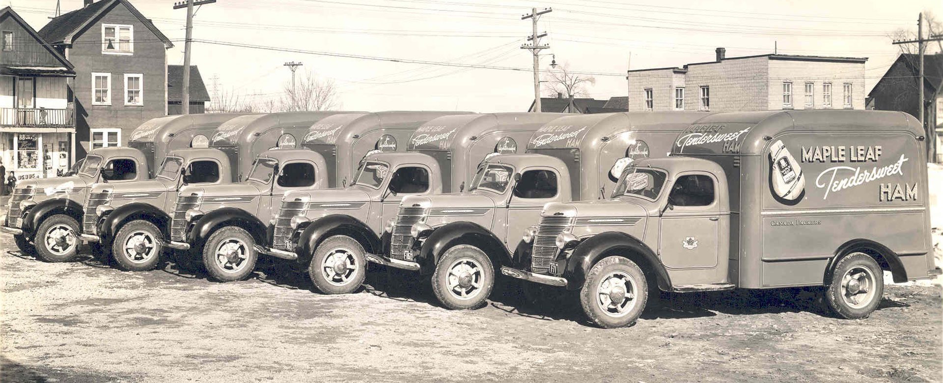 Maple Leaf fleet of trucks