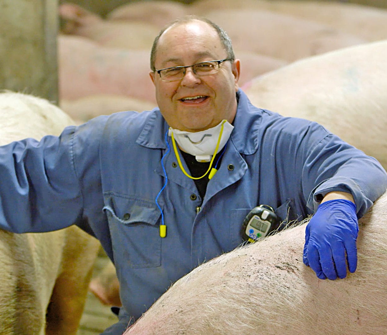 Maple Leaf Foods animal care expert, Neil