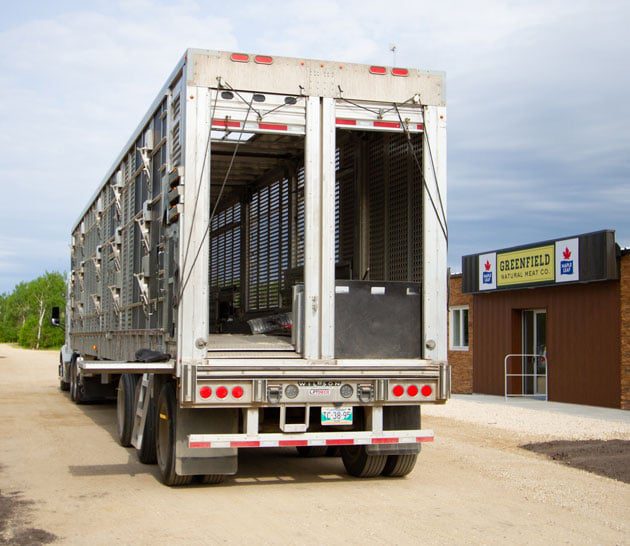 Pig trailer outside Green Valley Barn