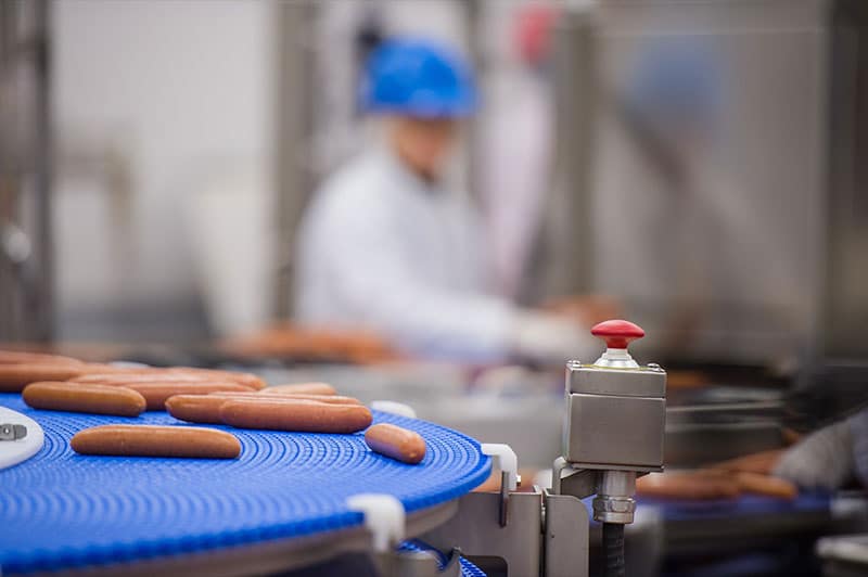 Sausage on conveyor belt
