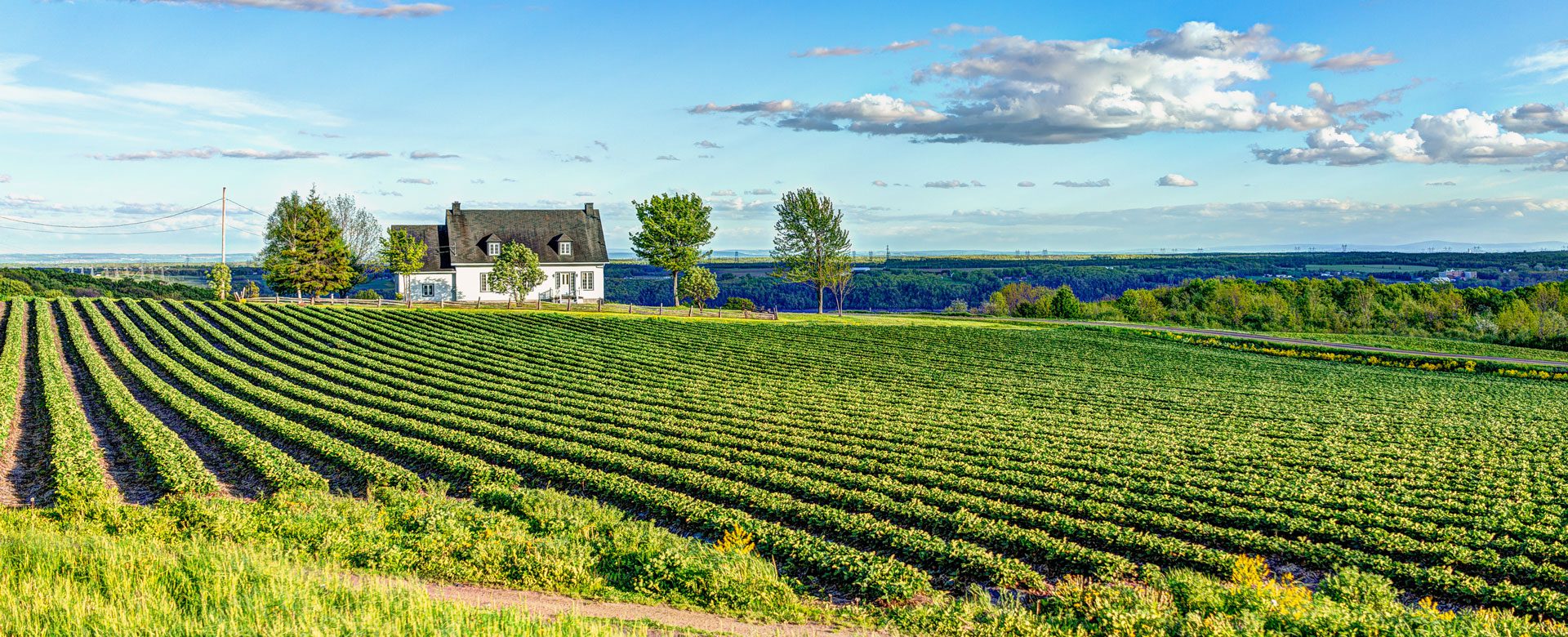 Farm in Quebec