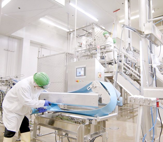 Deep cleaning at a Maple Leaf Foods plant