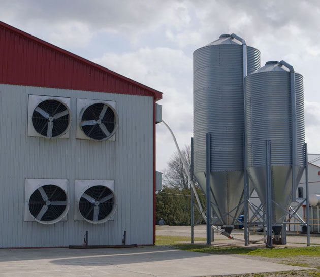 Silos at a poultry barn