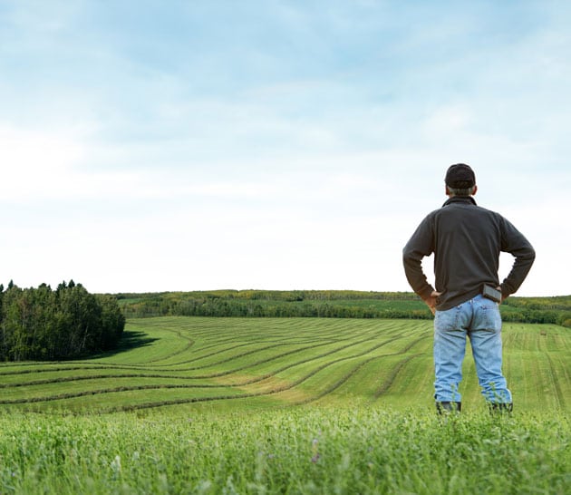 Farmer looking out on to a field