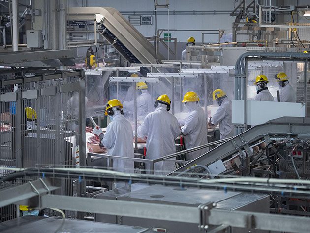 Wide shot view of the Brandon plant floor 