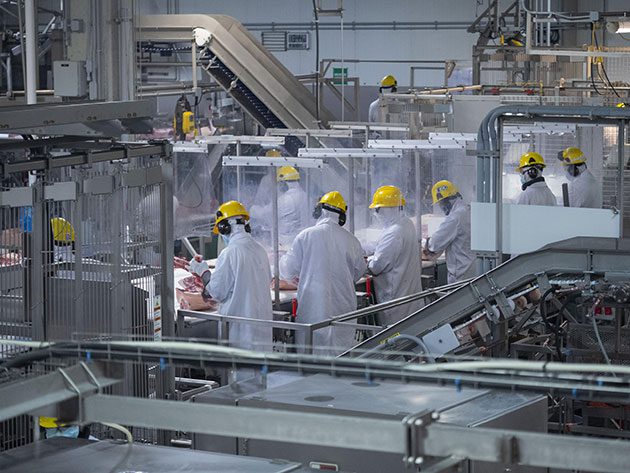 Wide shot view of the Brandon plant floor 