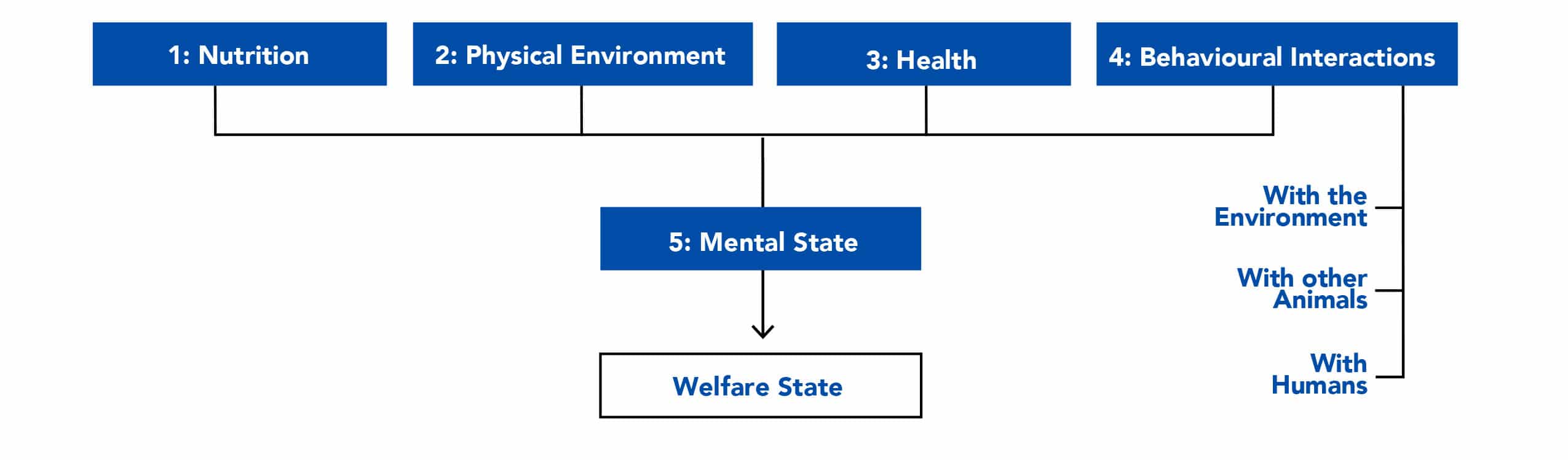 The Five Domains of Animal Care