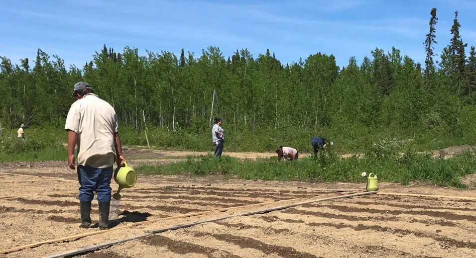 Men watering crops