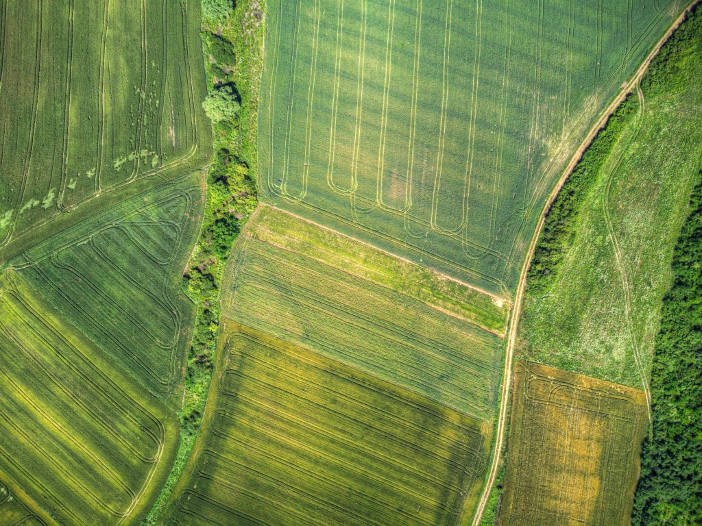 aerial view of field