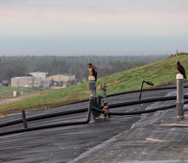Cedar Grove - Maple Valley OWC Composting Project