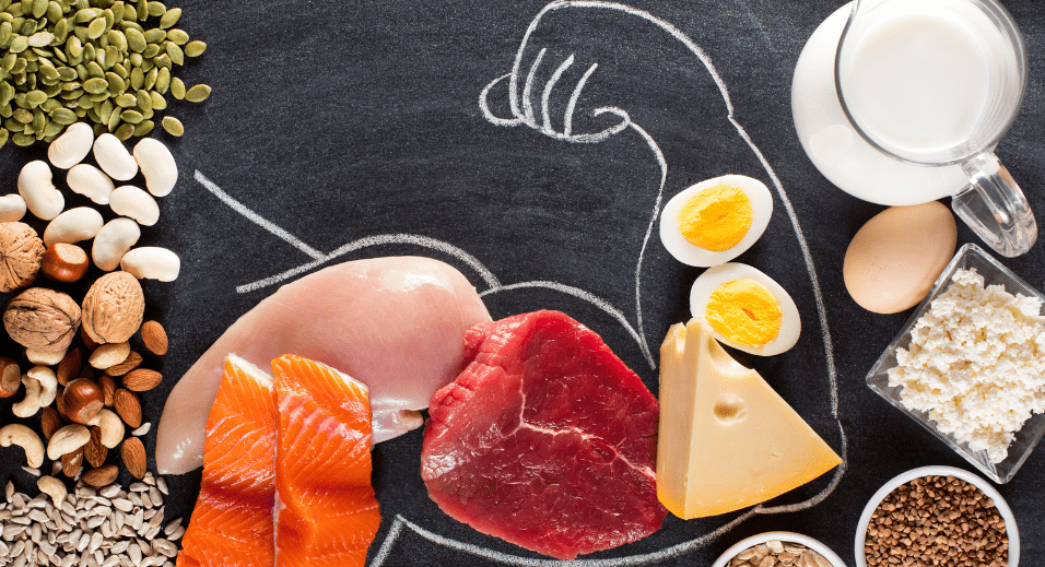 Chalkboard with muscles and protein items within